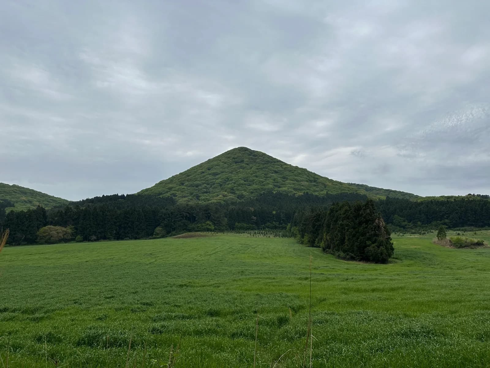 Keun Nokkome Oreum, a forested cone beyond a green field